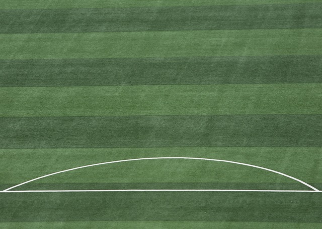 为球队创造 为球队创造