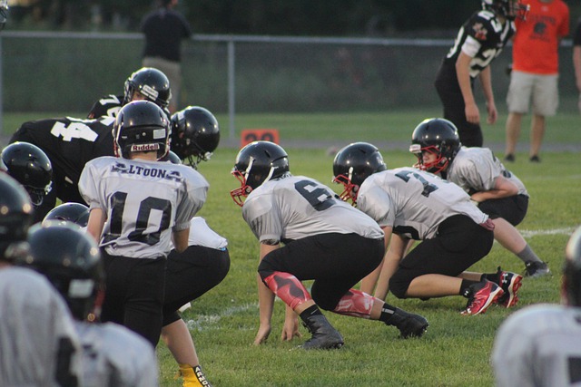 最终导致了 最终导致了