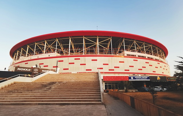 的比赛中无 的比赛中无