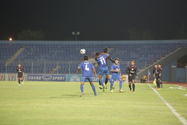 能够发挥出 能够发挥出